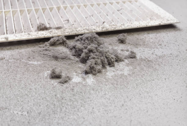 Best Air Duct Cleaning Company Near Me  in Arroyo Grande, CA